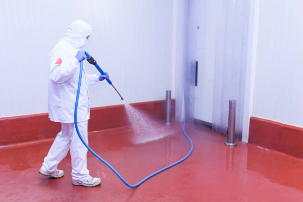 Best Graffiti Removal  in Lockney, TX